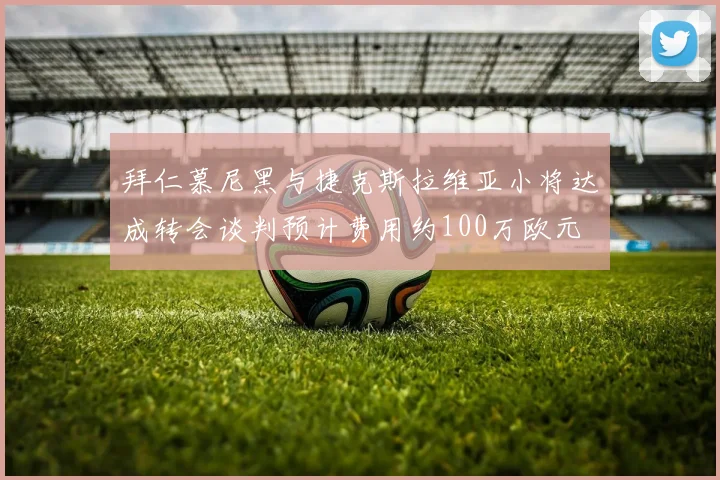 拜仁慕尼黑与捷克斯拉维亚小将达成转会谈判预计费用约100万欧元
