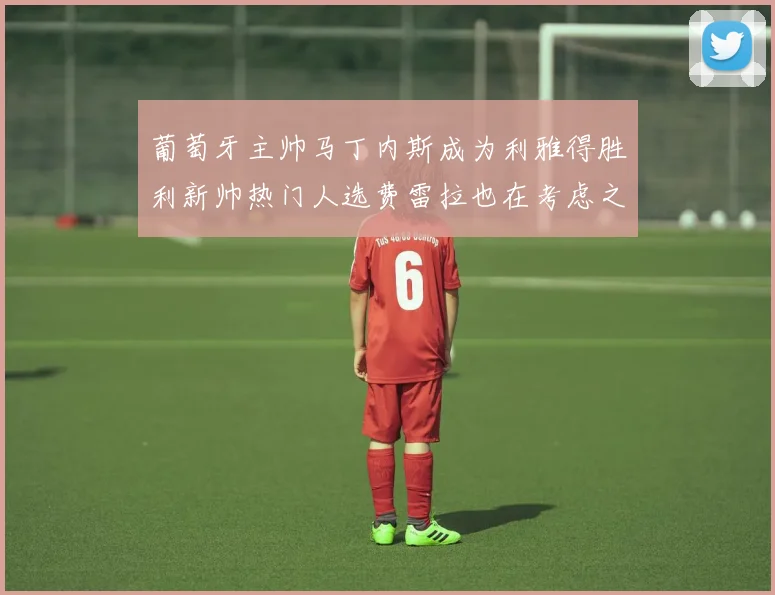 葡萄牙主帅马丁内斯成为利雅得胜利新帅热门人选费雷拉也在考虑之中
